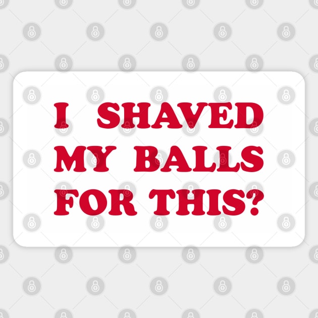 I Shaved My Balls for This? Magnet by DavesTees